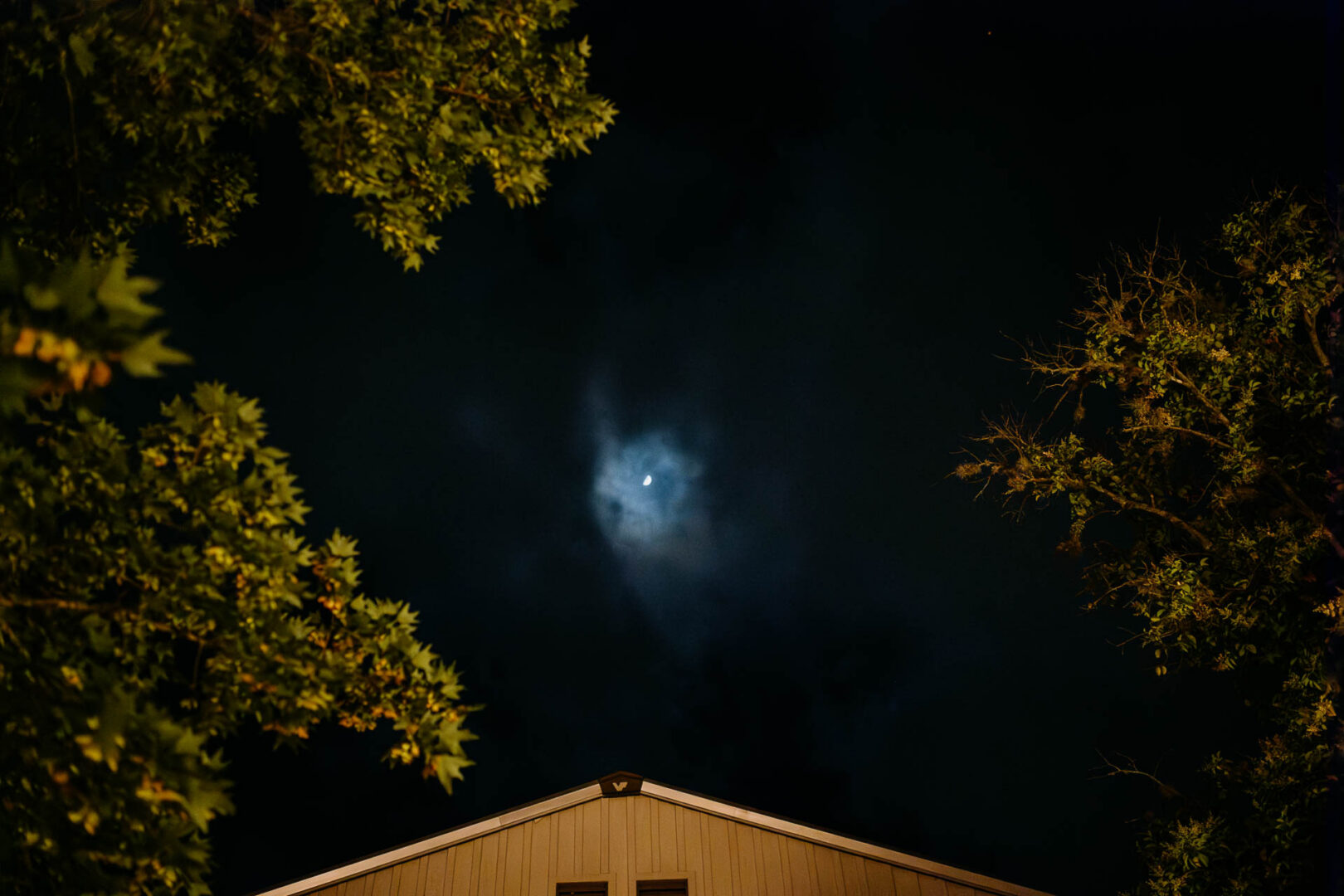 Night sky and moon framed by trees at The Kendall wedding reception.
