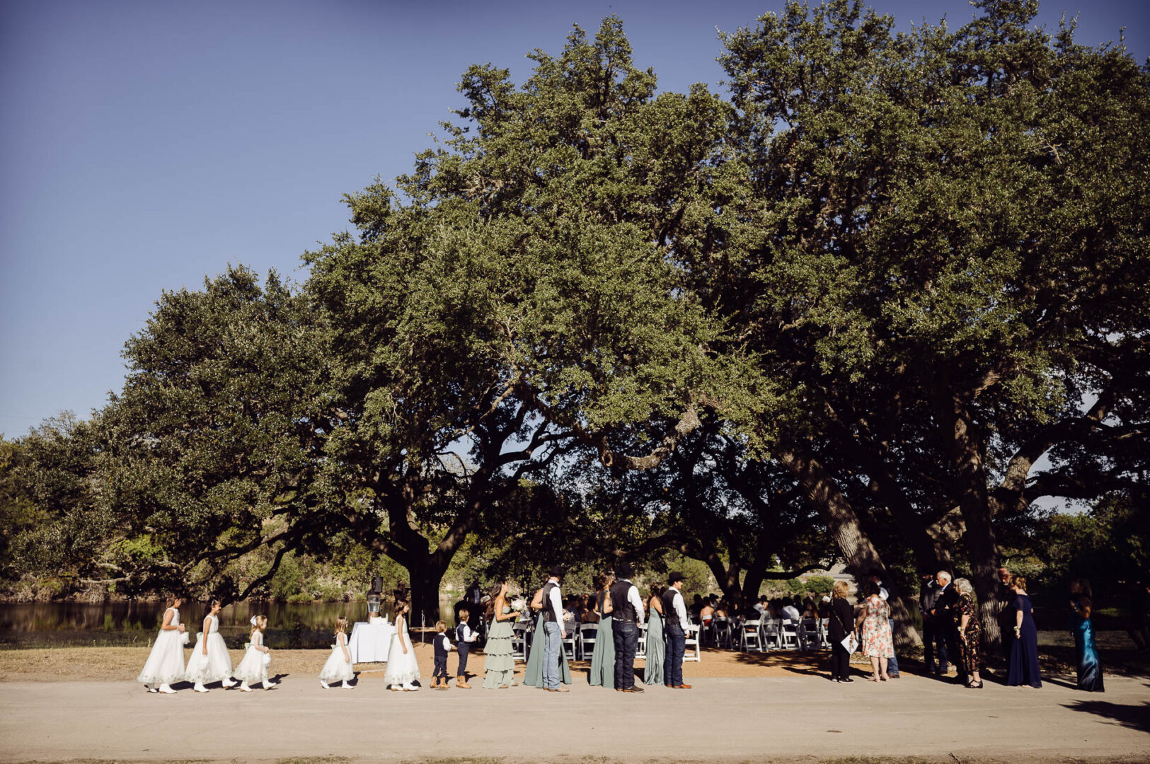 Tapatio Springs Hill Country Resort | Luana + Mack | Helotes 17 Flower girls, ring bearers and the wedding party line up along a road under huge live oaks, with seated guests and the pond beyond.